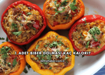 1 Adet Biber Dolması Kaç Kalori?