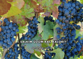 1 Salkım Üzüm Kaç Kalori?