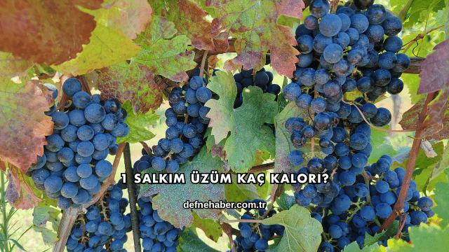 1 Salkım Üzüm Kaç Kalori?