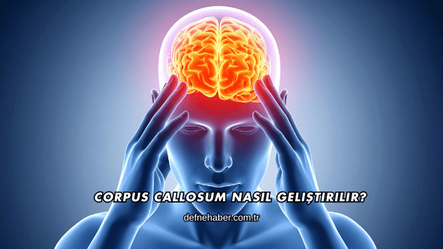 Corpus Callosum Nasıl Geliştirilir?