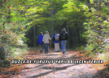 Düzce'de Yürüyüş Yapılabilecek Yerler