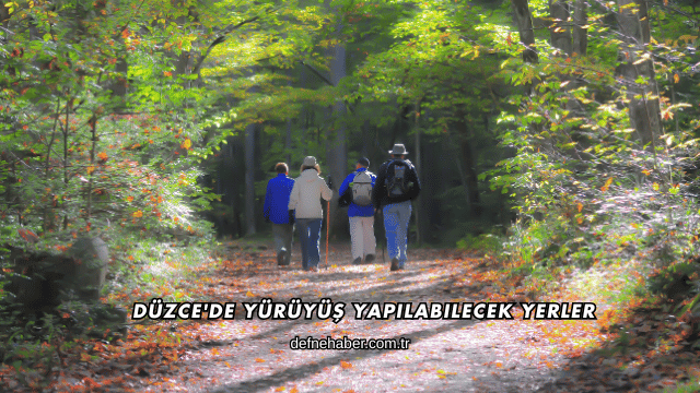 Düzce'de Yürüyüş Yapılabilecek Yerler