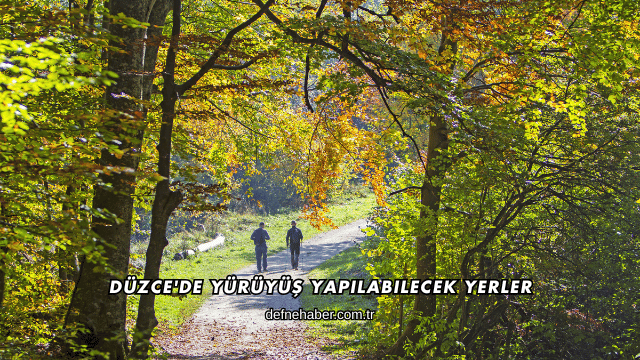 Düzce'de Yürüyüş Yapılabilecek Yerler