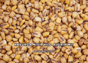 Kavurga Mısır Kilo Aldırır mı?