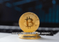 Kriptoda Bitcoiner Ne Demek?
