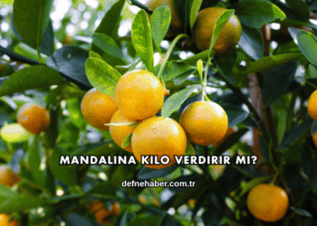 Mandalina Kilo Verdirir mi?