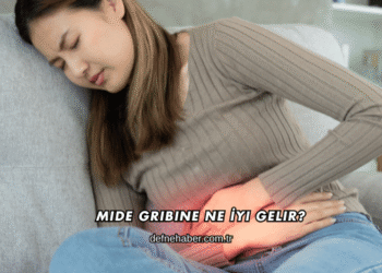 Mide Gribine Ne İyi Gelir