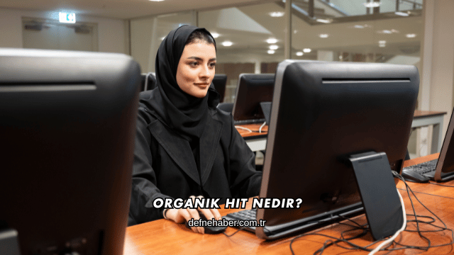 Organik Hit Nedir?