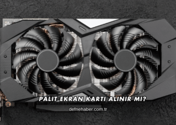 Palit Ekran Kartı Alınır mı?