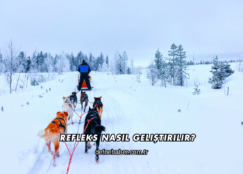 Refleks Nasıl Geliştirilir?