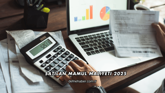 Satılan Mamul Maliyeti 2025