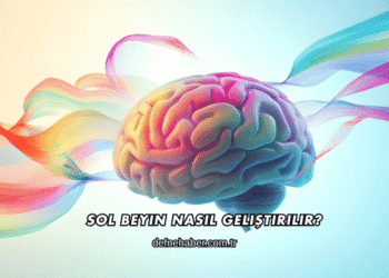 Sol Beyin Nasıl Geliştirilir?
