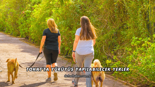 Tokat'ta Yürüyüş Yapılabilecek Yerler