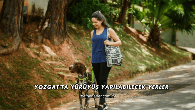 Yozgat'ta Yürüyüş Yapılabilecek Yerler