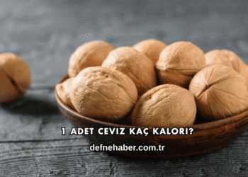 1 Adet Ceviz Kaç Kalori?