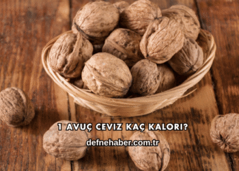 1 Avuç Ceviz Kaç Kalori?