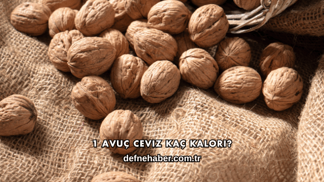 1 Avuç Ceviz Kaç Kalori?