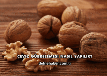 Ceviz Gübrelemesi Nasıl Yapılır?