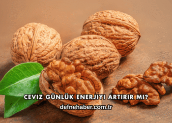 Ceviz Günlük Enerjiyi Artırır mı?