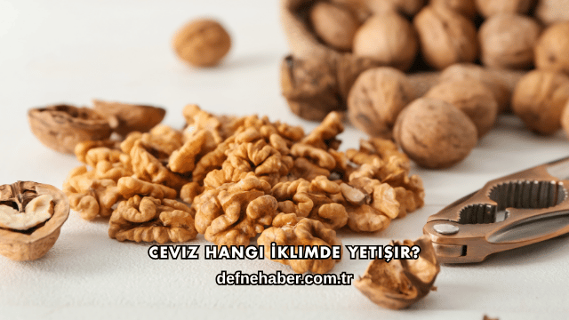 Ceviz Hangi İklimde Yetişir?