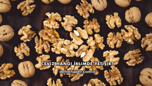 Ceviz Hangi İklimde Yetişir?
