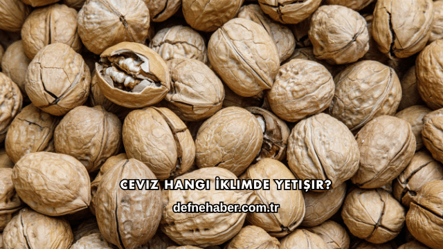 Ceviz Hangi İklimde Yetişir?