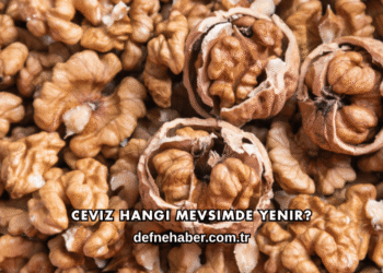 Ceviz Hangi Mevsimde Yenir?