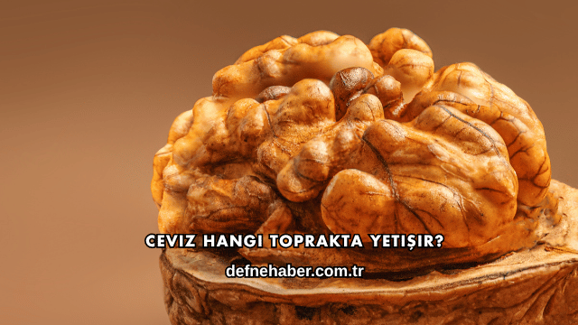 Ceviz Hangi Toprakta Yetişir?