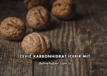 Ceviz Karbonhidrat İçerir mi?