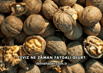 Ceviz Ne Zaman Faydalı Olur?