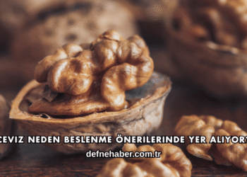 Ceviz Neden Beslenme Önerilerinde Yer Alıyor?