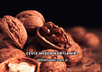 Ceviz Neden Kurtlanır?