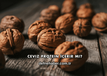 Ceviz Protein İçerir mi?