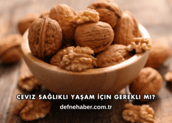 Ceviz Sağlıklı Yaşam İçin Gerekli mi?