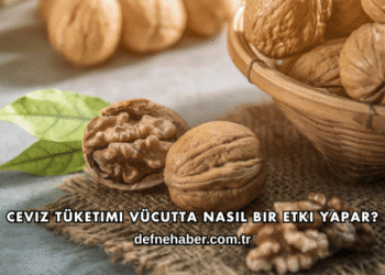 Ceviz Tüketimi Vücutta Nasıl Bir Etki Yapar?