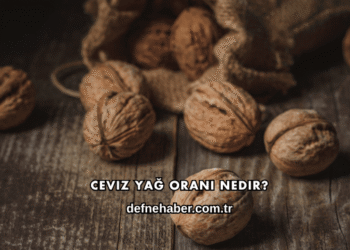 Ceviz Yağ Oranı Nedir?
