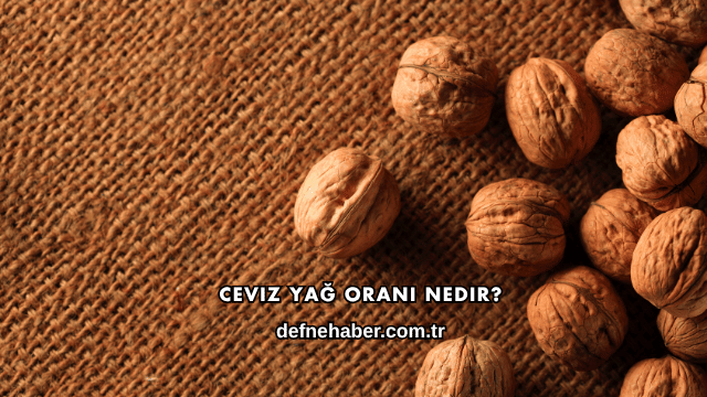 Ceviz Yağ Oranı Nedir?