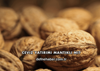 Ceviz Yatırımı Mantıklı mı?