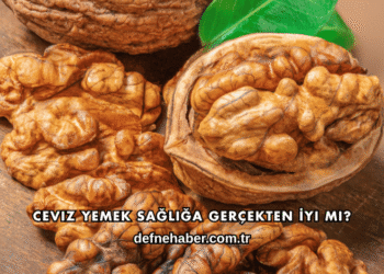 Ceviz Yemek Sağlığa Gerçekten İyi mi?