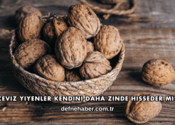Ceviz Yiyenler Kendini Daha Zinde Hisseder mi?
