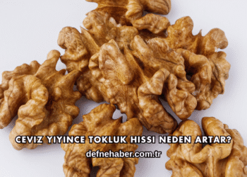 Ceviz Yiyince Tokluk Hissi Neden Artar?