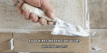 Evde Kireç Neden Çok Olur?