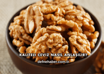 Kaliteli Ceviz Nasıl Anlaşılır?
